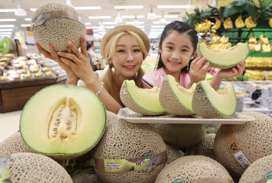 이마트가 13일부터 전 점에서 국내산 머스크 메론을 4980원에 할인 판매한다. 이번에 선보이는 머스크 메론은 수분 함량이 많고 식감이 부드러워 남녀노소에게 인기있다. 12일 이마트 용산점에서 모델들이  머스크 메론을 선보이고 있다. <이마트 제공>